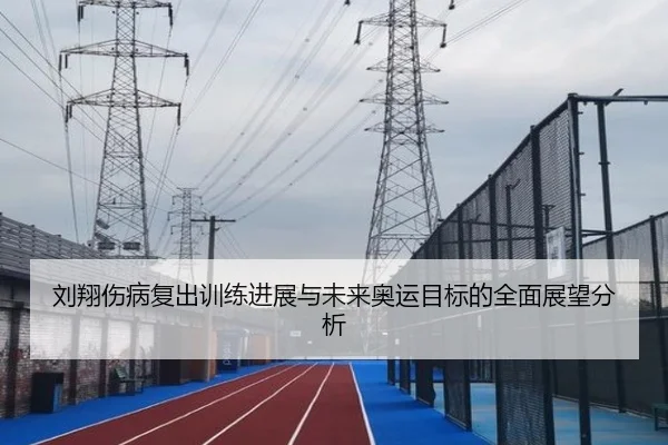 刘翔伤病复出训练进展与未来奥运目标的全面展望分析